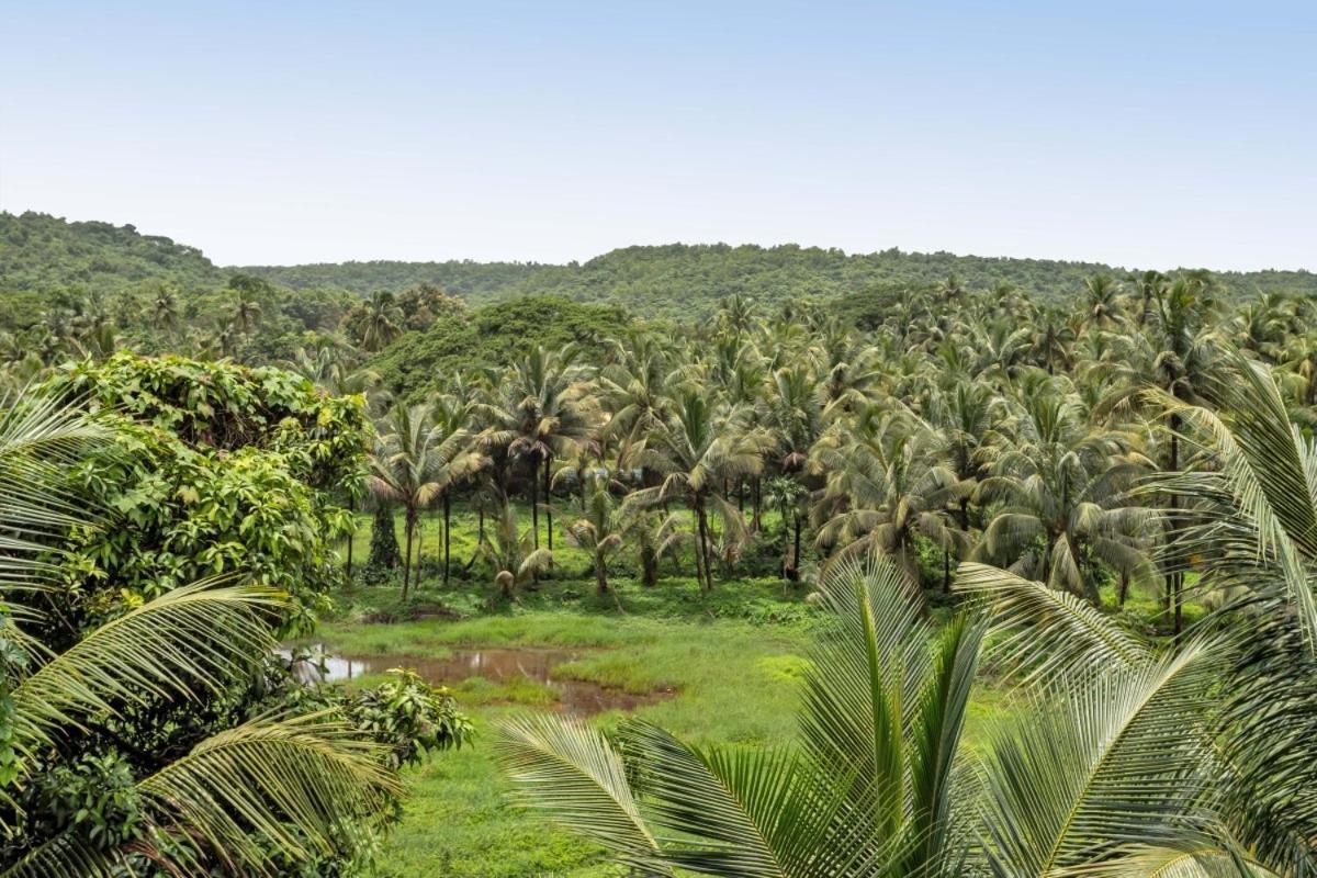 Ikigai Luxury Stays Old Goa Exterior photo